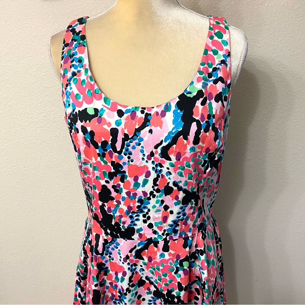 Lilly Pulitzer Gosling Cameo Sweet Nothings Dress View 4